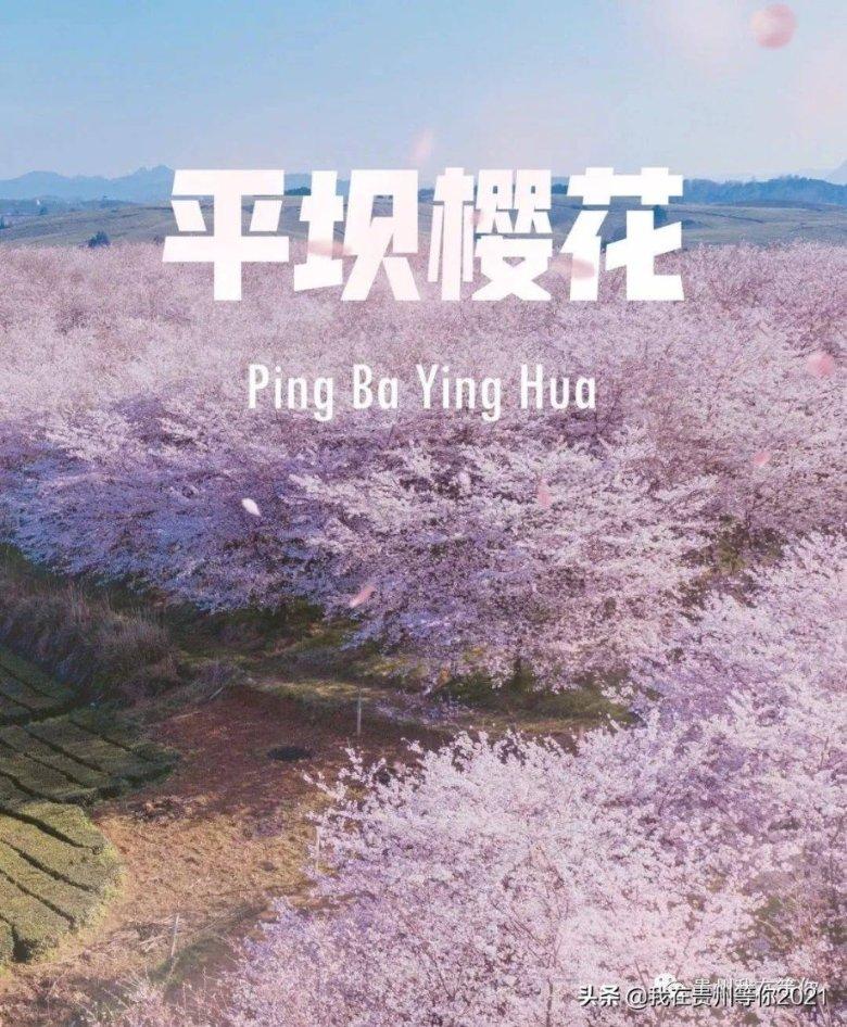 什么是史上最毒的生物呢?游戏画面