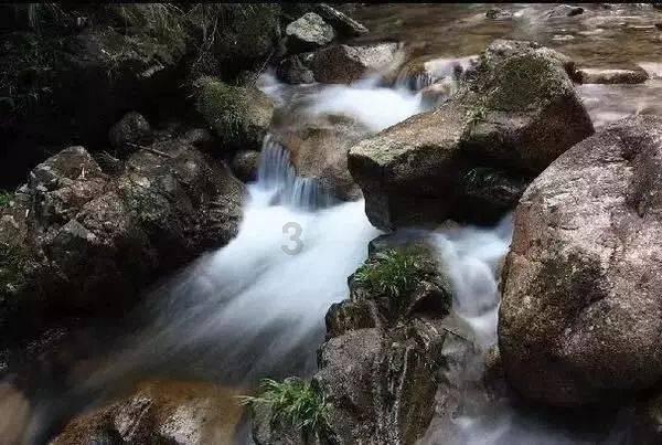 水果时尚风格